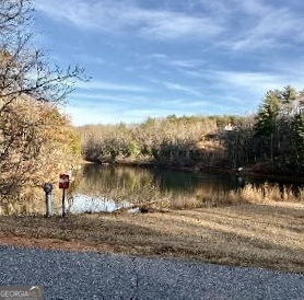 2585 Panorama Drive Sautee Nacoochee GA 30571