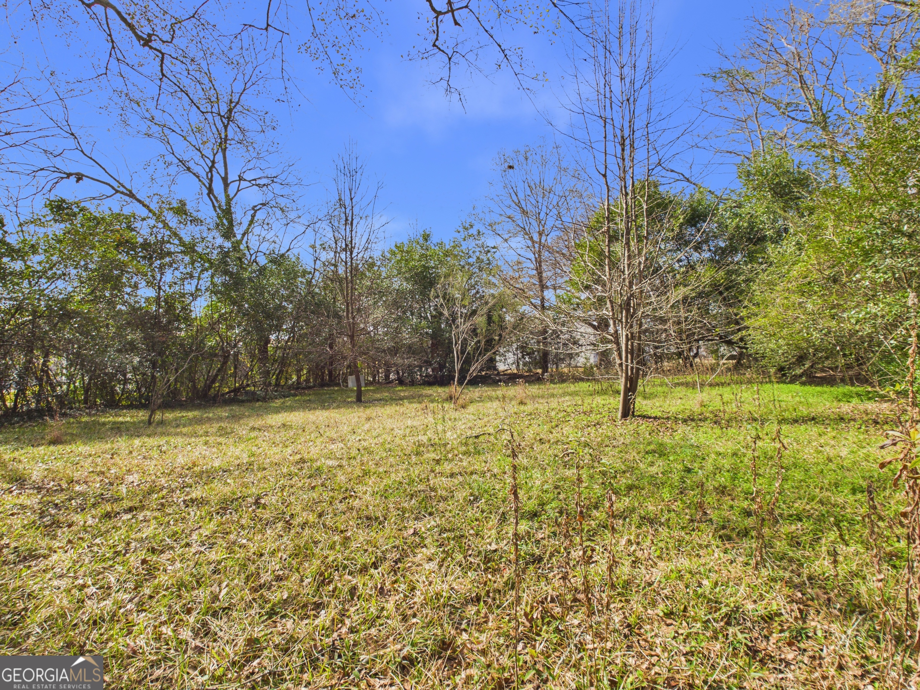 124 Phillips Street Richland GA 31825