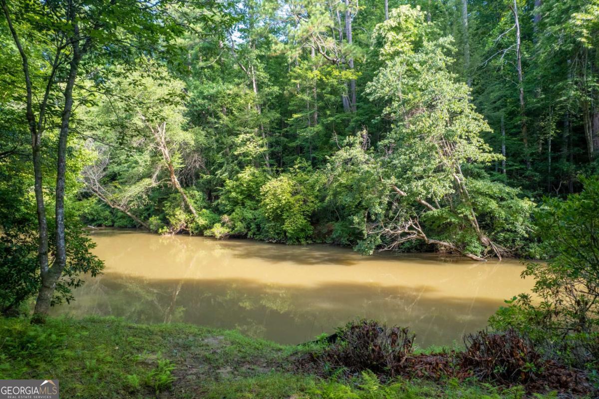 218 River Drive Dahlonega GA 30533