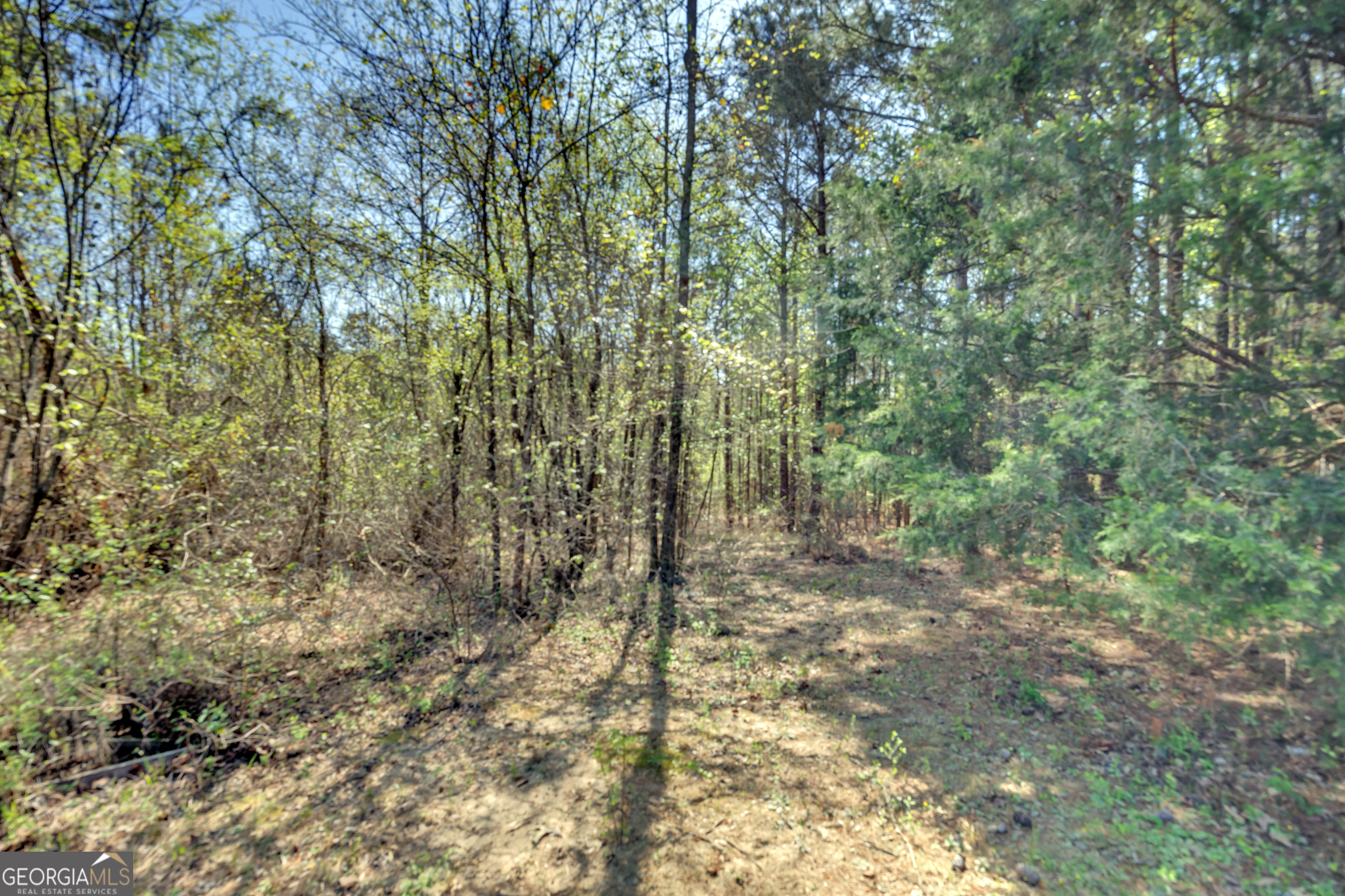 4359 Cook Road Monticello GA 31064