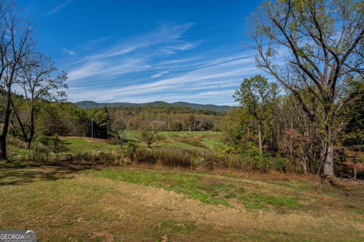 7590 Mobile Road Blue Ridge GA 30513