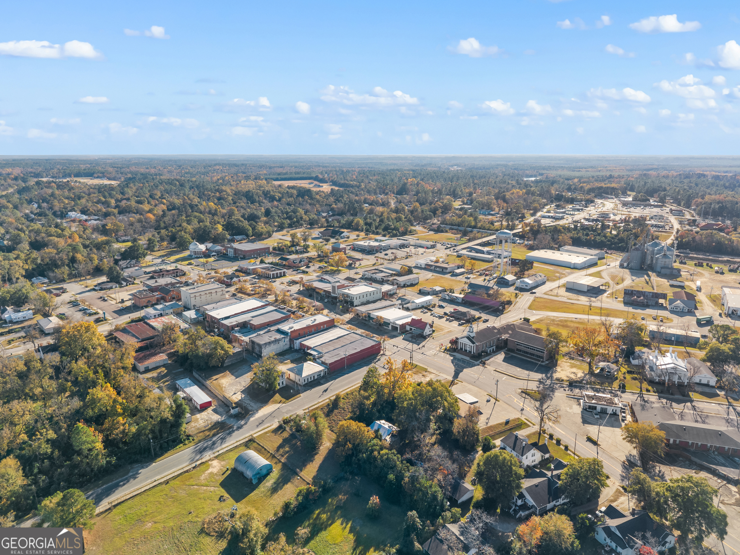 501 N Main Street Sylvania GA 30467