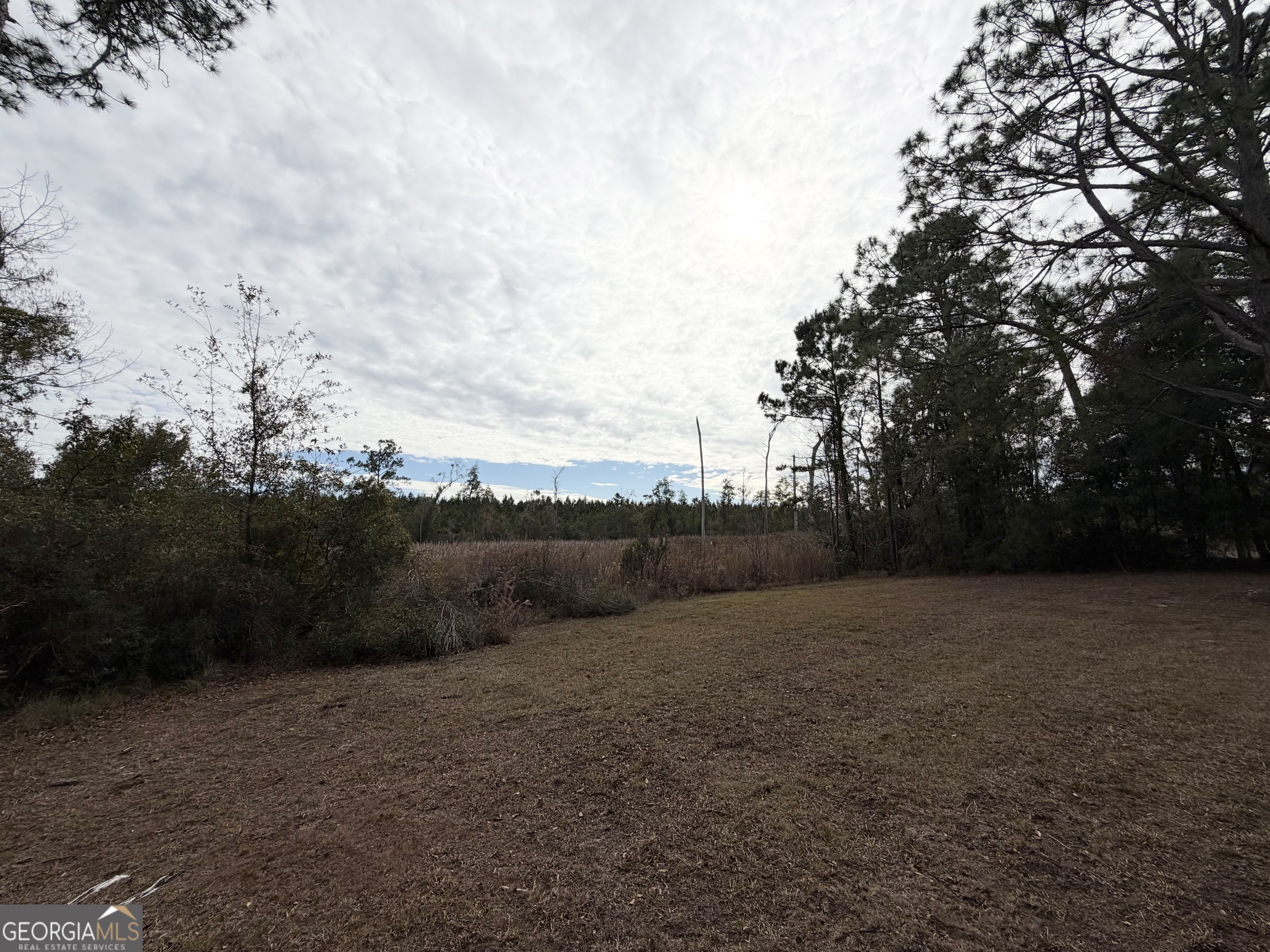2124 Horseshoe Cove Road Waverly GA 31565