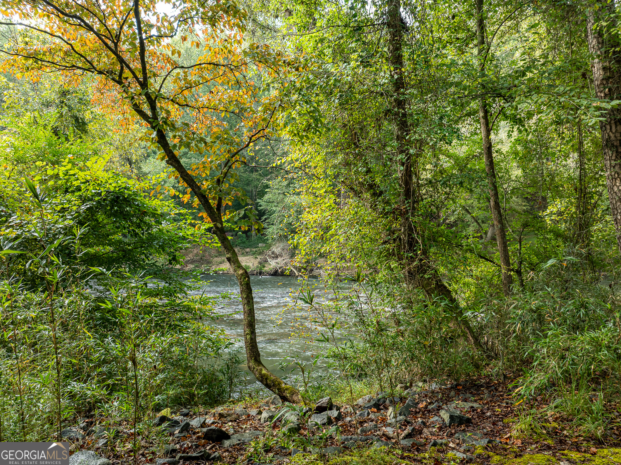 54 First Street Ellijay GA 30540