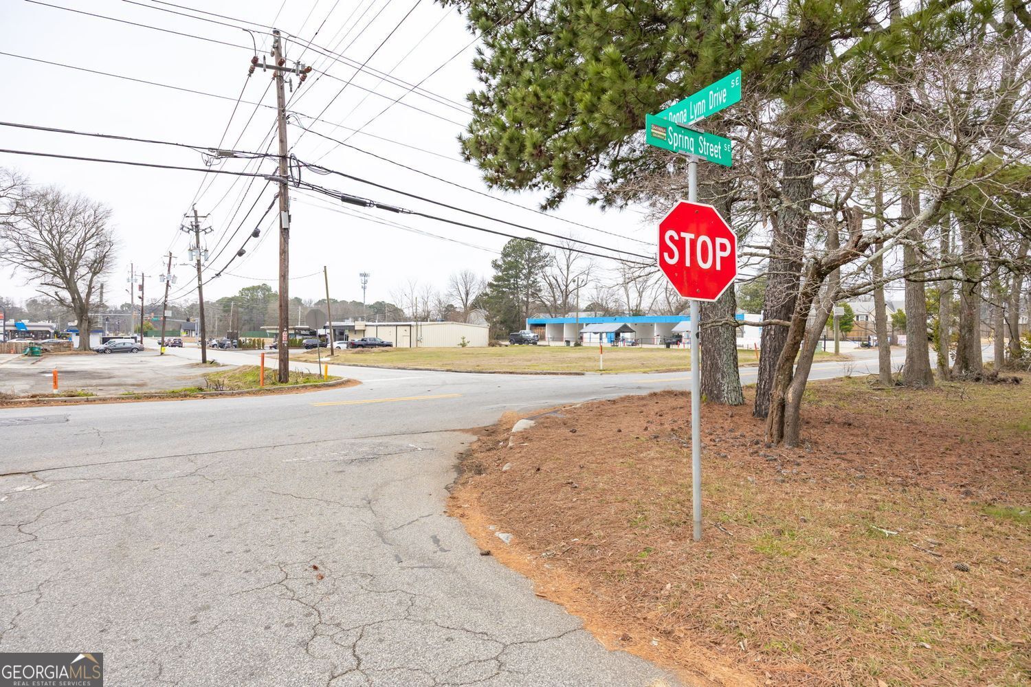 1651 Donna Lynn Drive Smyrna GA 30080