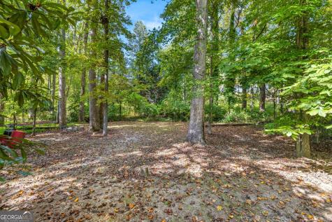 395 E Louise Street Clarkesville GA 30523