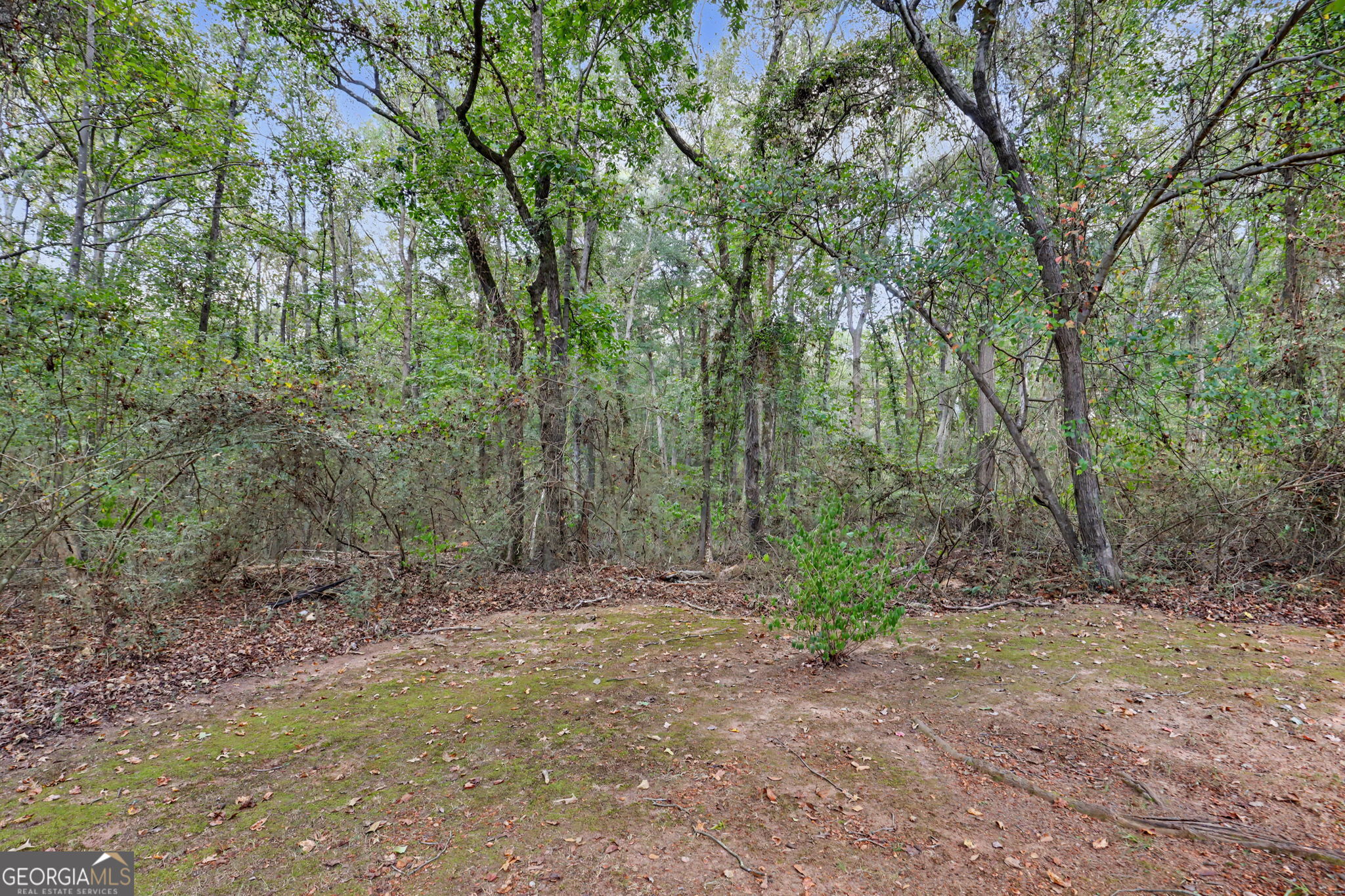 830 Lord Fleming Road Comer GA 30629