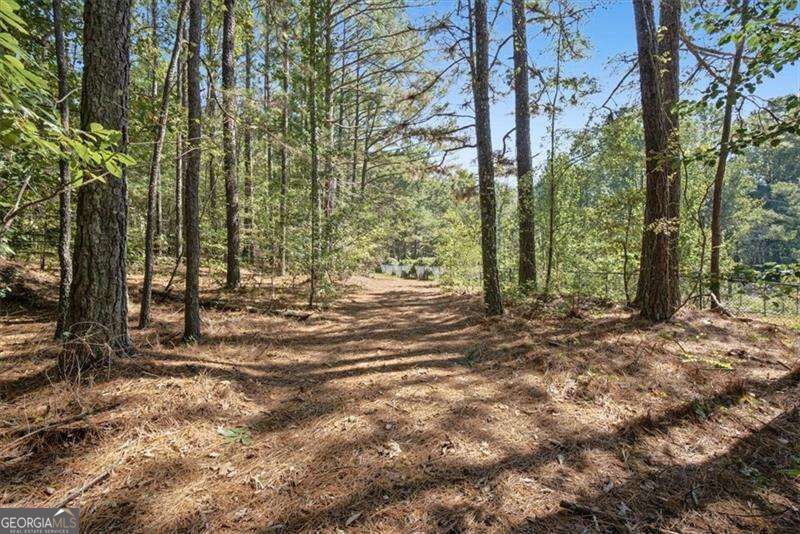 63 Wilderness Camp Road SE White GA 30184