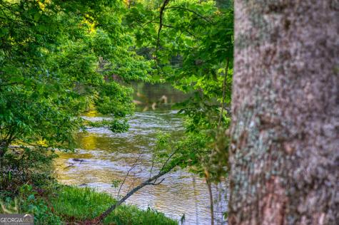 661 Toccoa River Forest Mineral Bluff GA 30559