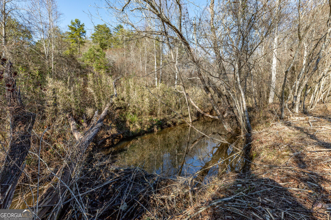 661 Toccoa River Forest Mineral Bluff GA 30559