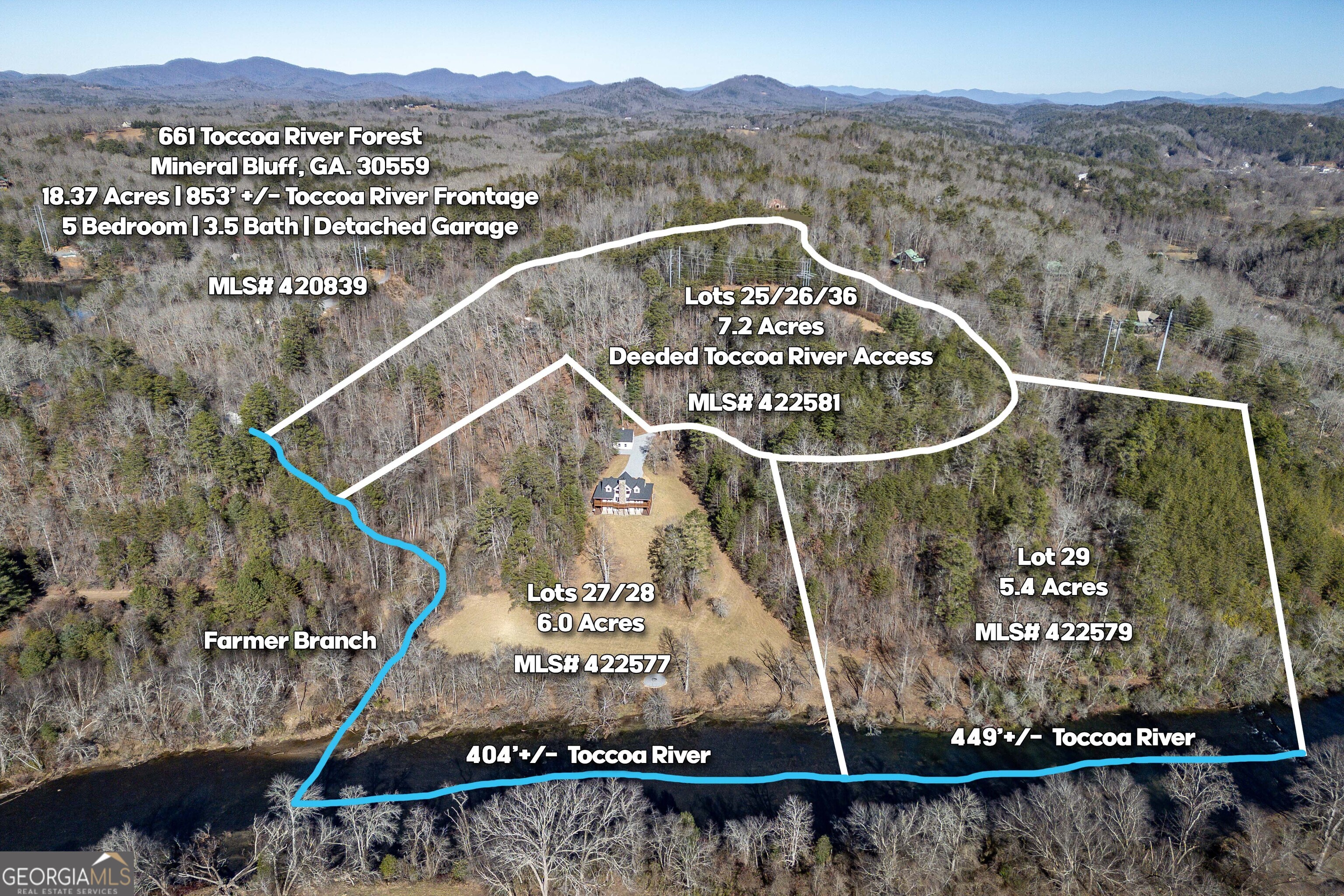 661 Toccoa River Forest Mineral Bluff GA 30559