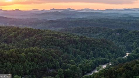 661 Toccoa River Forest Mineral Bluff GA 30559
