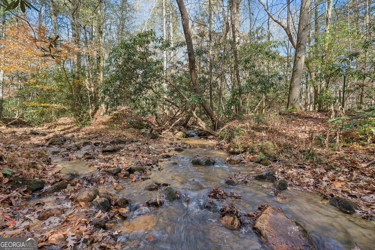 491 Old Parker Terrace Ellijay GA 30536