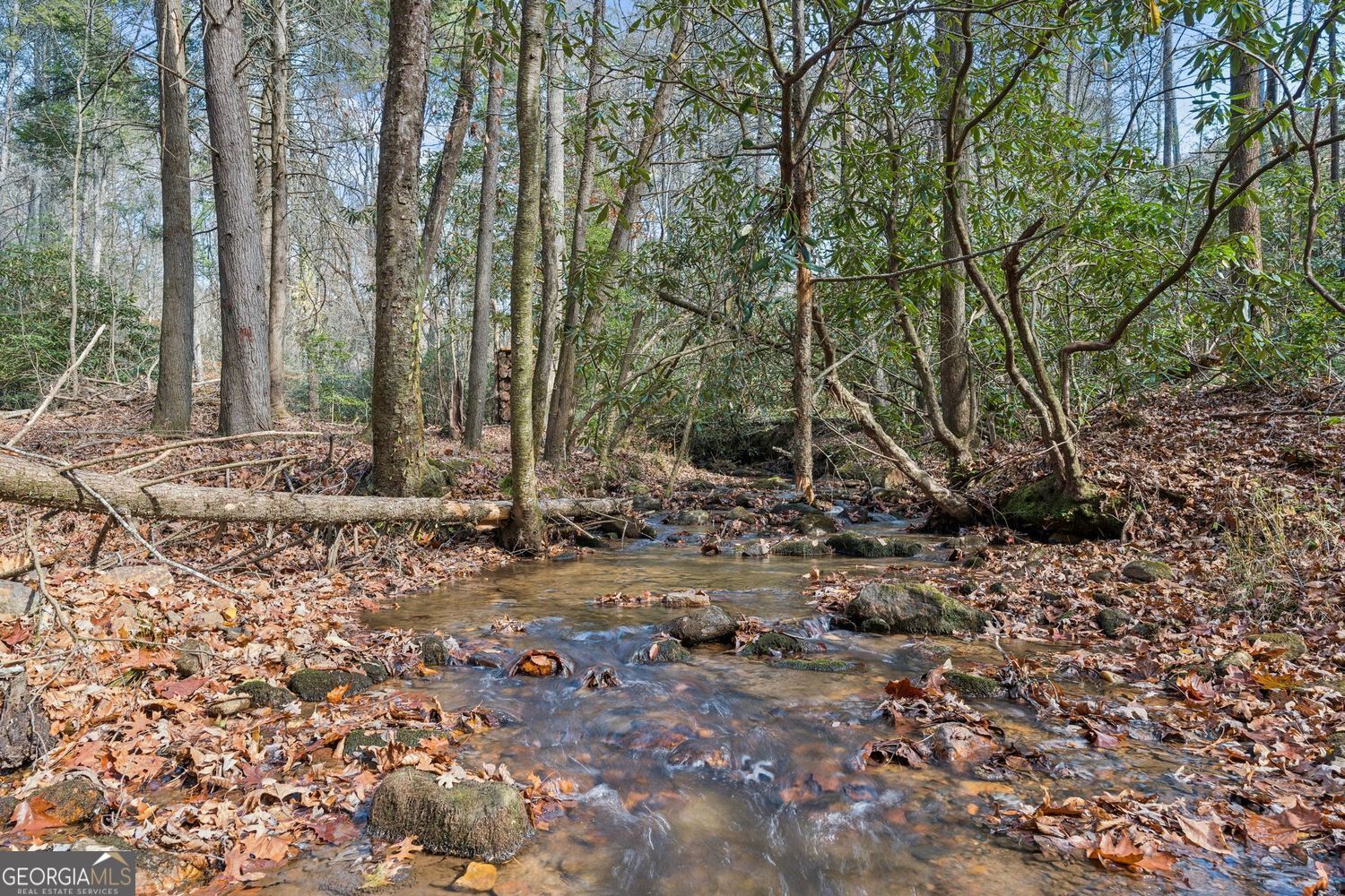491 Old Parker Terrace Ellijay GA 30536