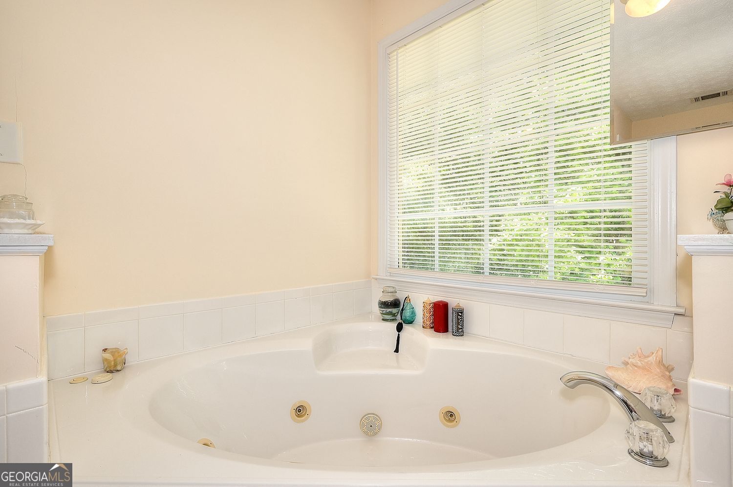 121 Brookhaven Lane Canton GA 30114