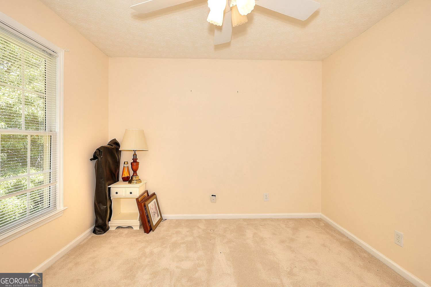 121 Brookhaven Lane Canton GA 30114