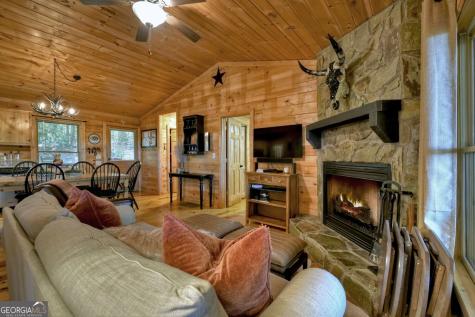9 Joanna Court Cherry Log GA 30522