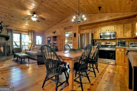 9 Joanna Court Cherry Log GA 30522