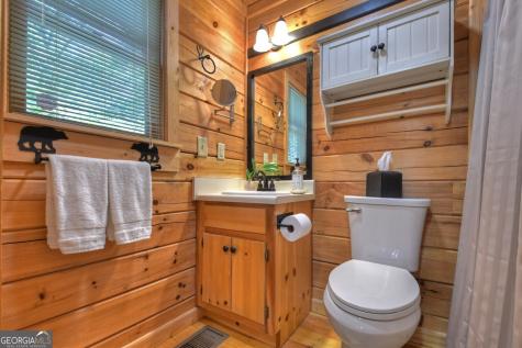 9 Joanna Court Cherry Log GA 30522