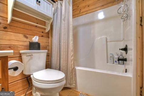 9 Joanna Court Cherry Log GA 30522