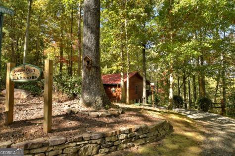 9 Joanna Court Cherry Log GA 30522
