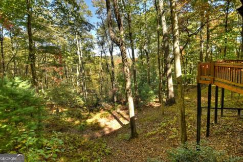 9 Joanna Court Cherry Log GA 30522