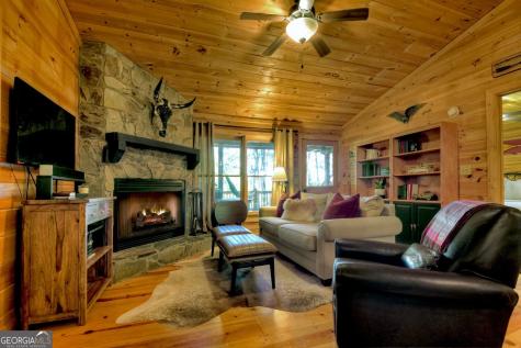 9 Joanna Court Cherry Log GA 30522