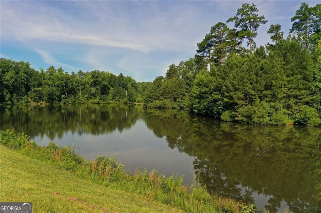 12803 Doe Drive Milton GA 30004