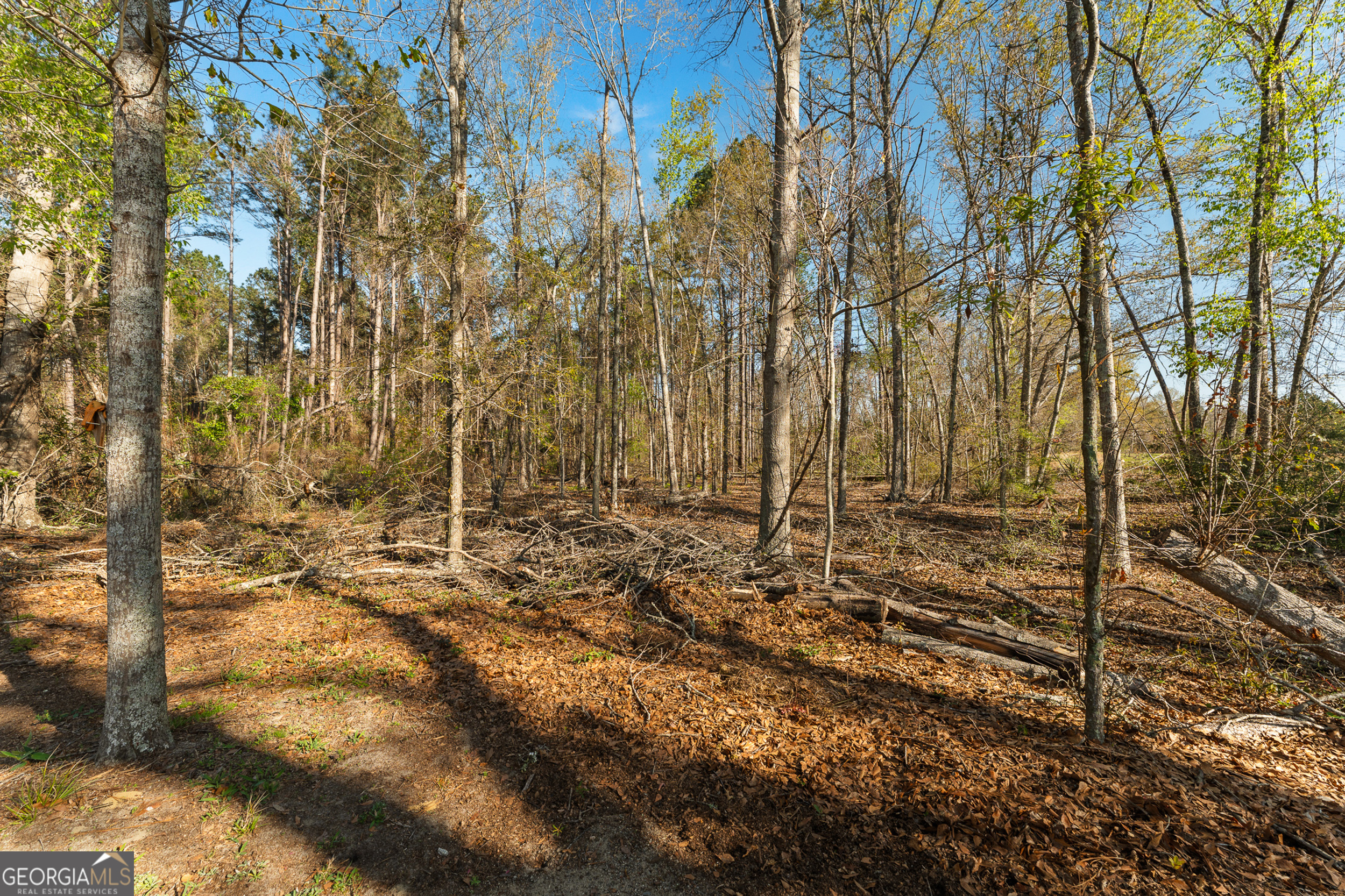 1569 Pond View Road Metter GA 30439