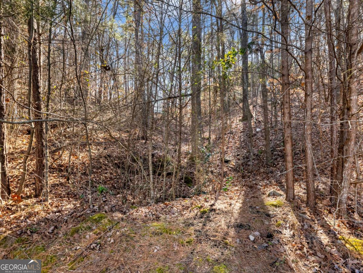 6377 Barker Station Walk Sugar Hill GA 30518