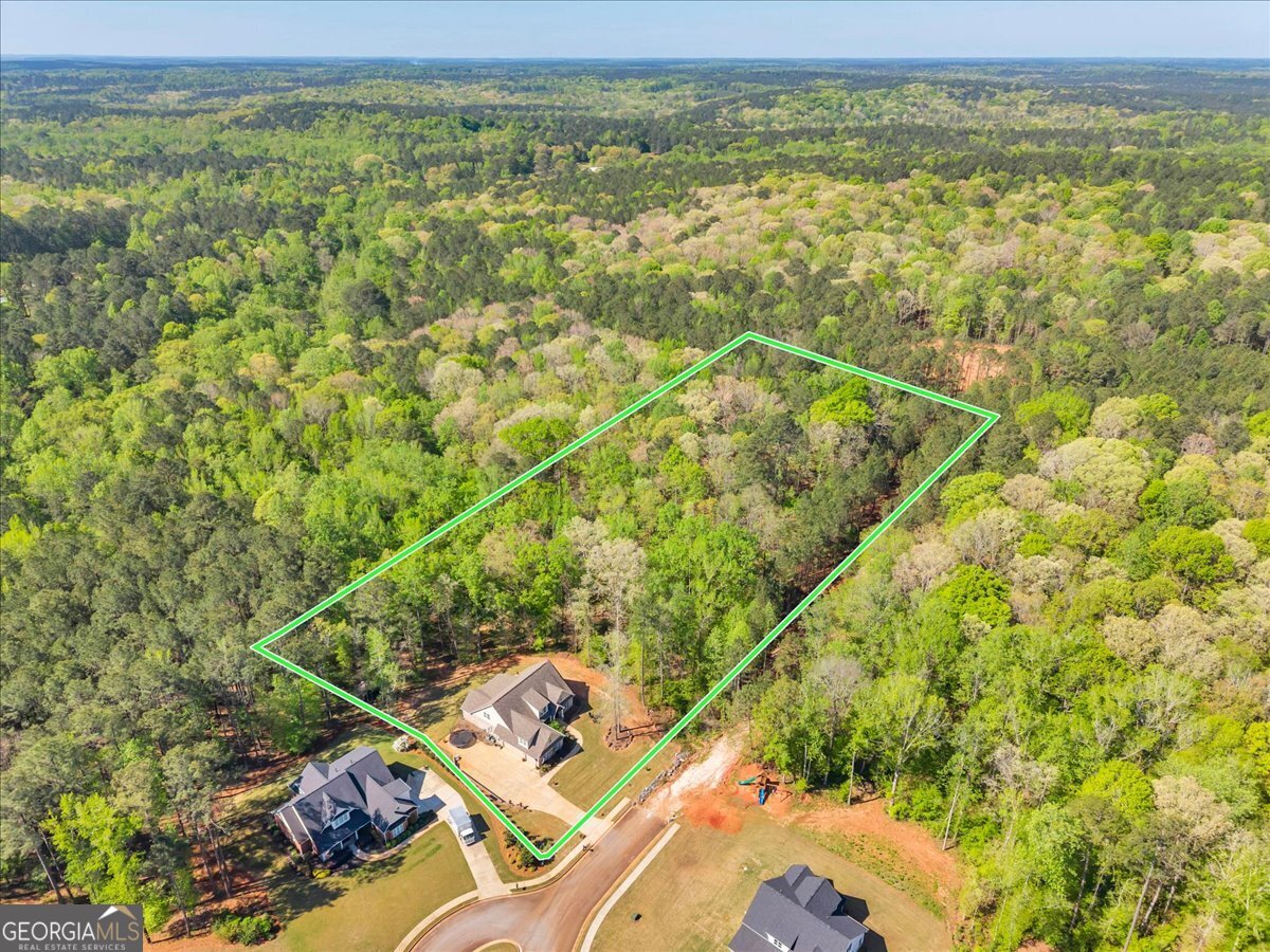 126 Mallie Drive Forsyth GA 31029