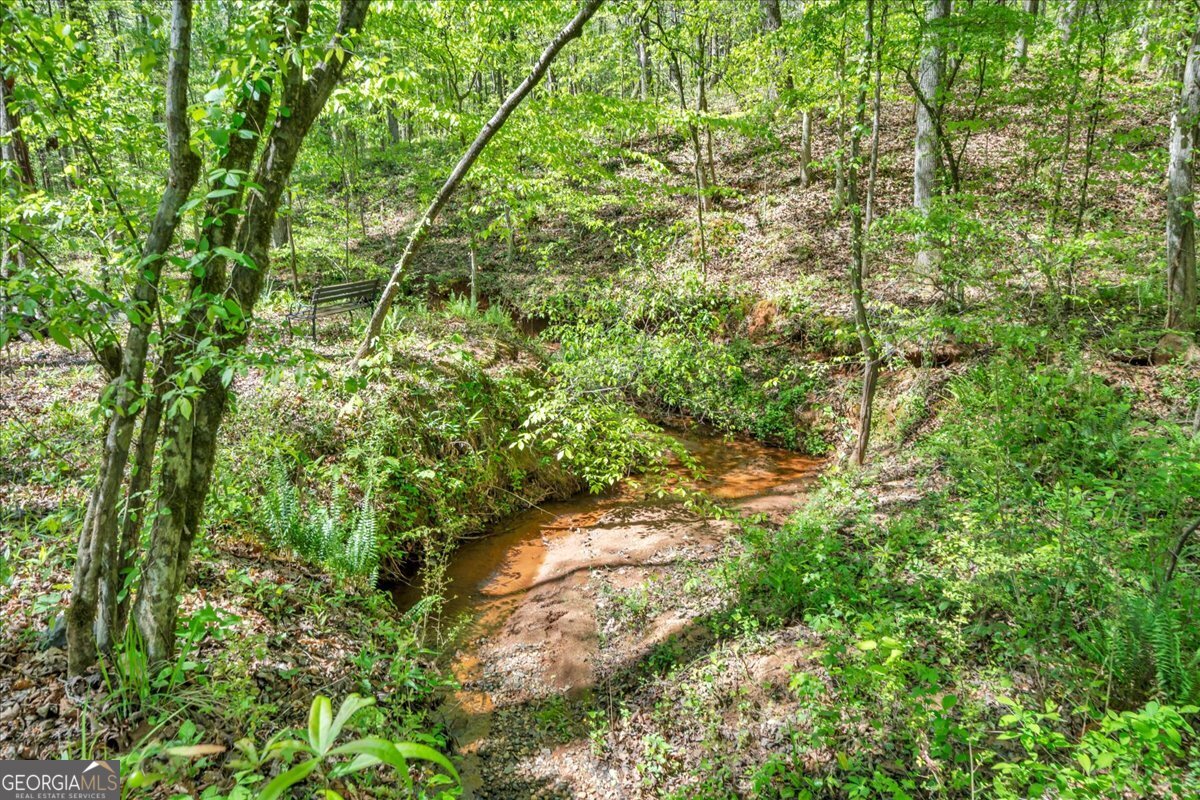 126 Mallie Drive Forsyth GA 31029