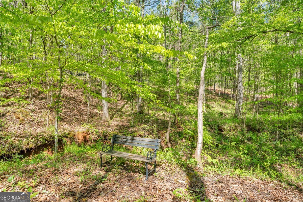 126 Mallie Drive Forsyth GA 31029