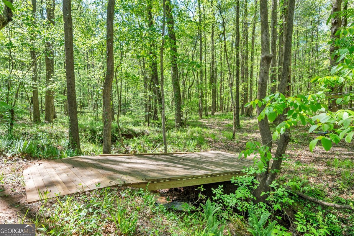 126 Mallie Drive Forsyth GA 31029