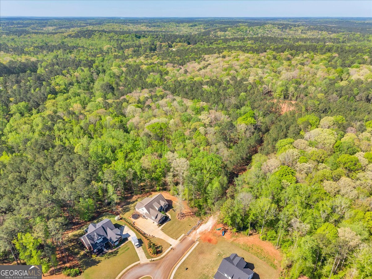 126 Mallie Drive Forsyth GA 31029