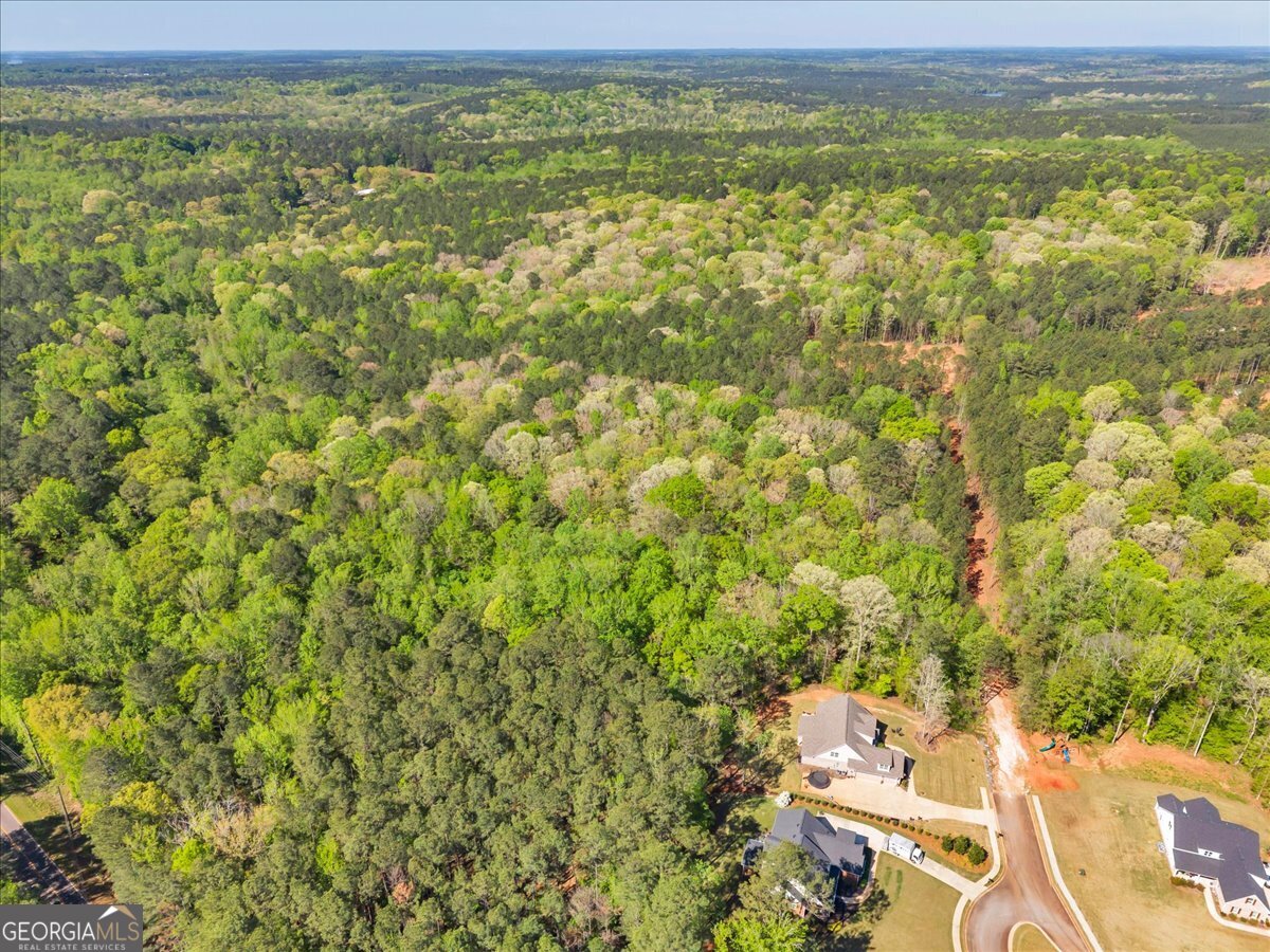 126 Mallie Drive Forsyth GA 31029