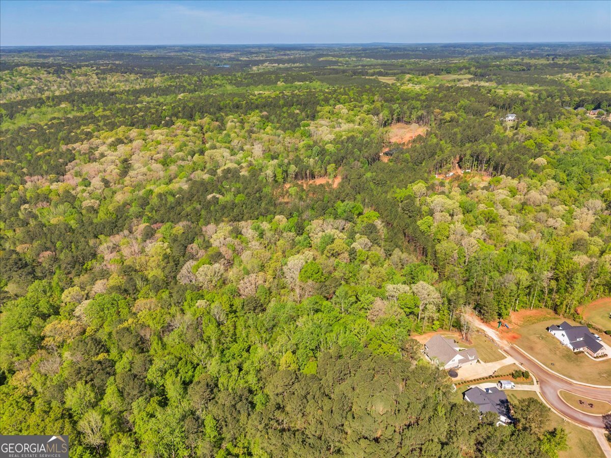 126 Mallie Drive Forsyth GA 31029