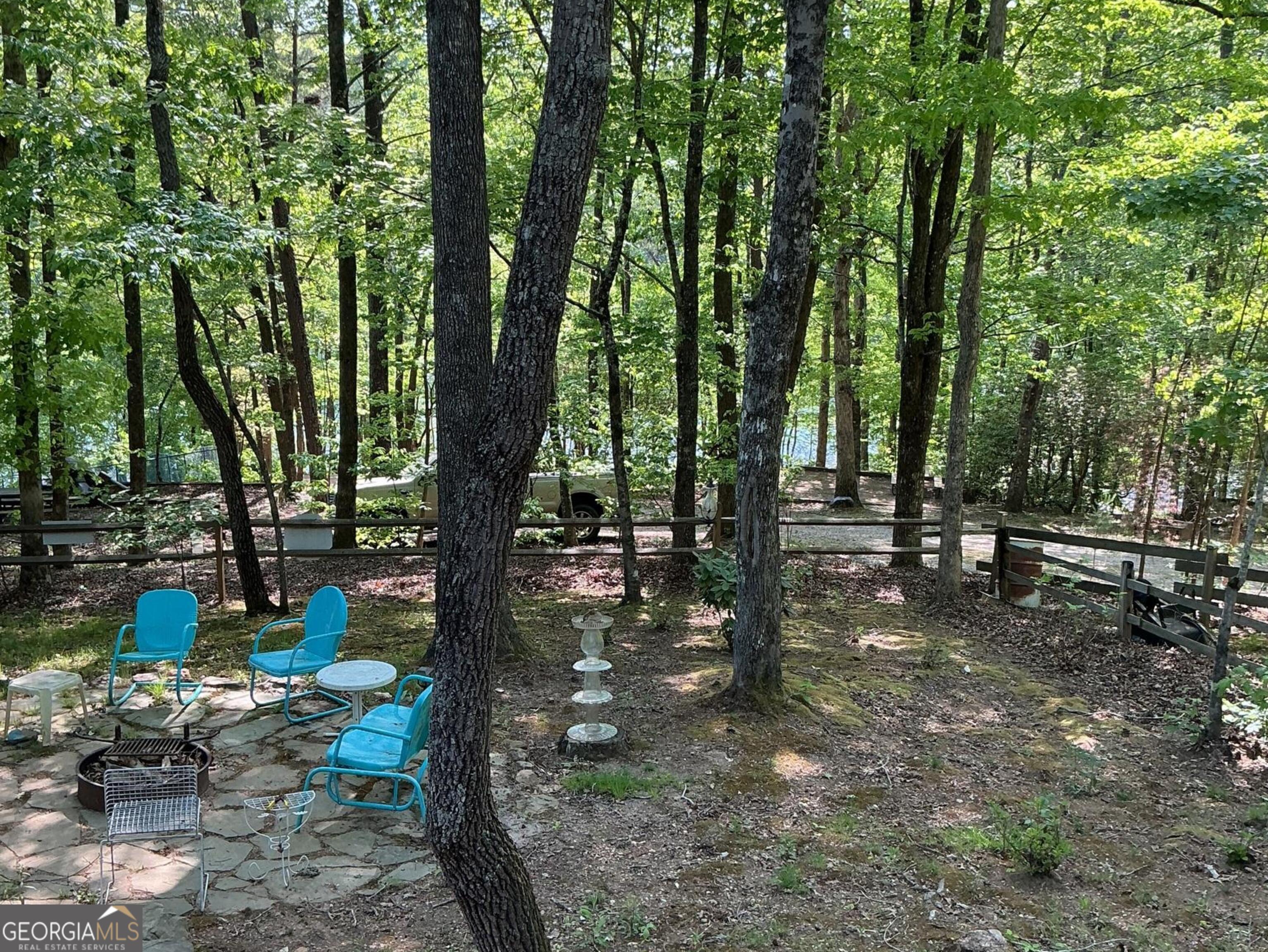 1157 Mountain Shadows Drive Cleveland GA 30528