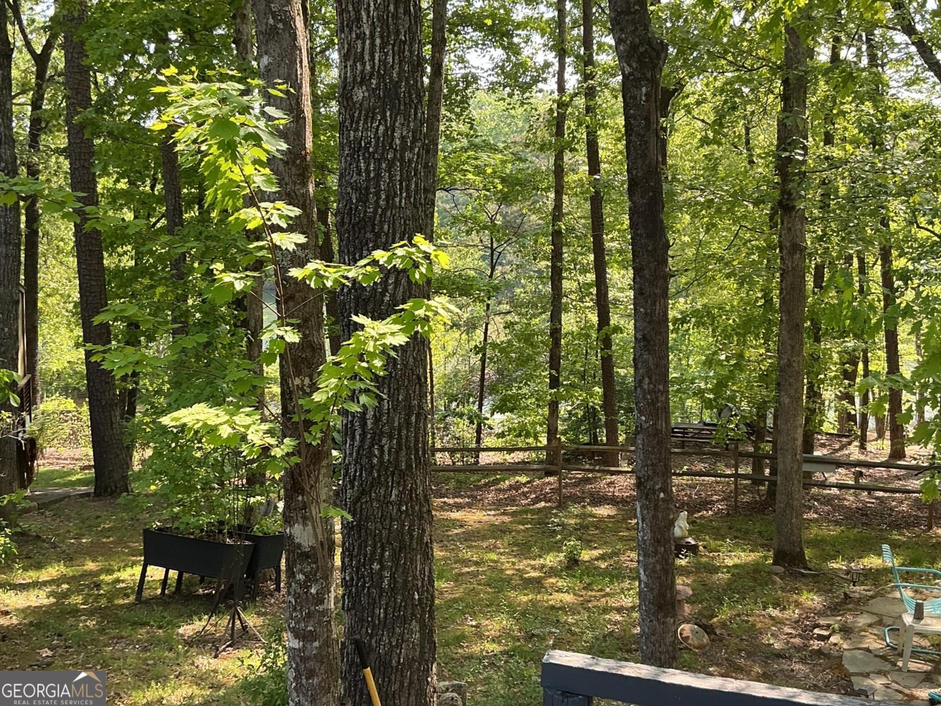 1157 Mountain Shadows Drive Cleveland GA 30528