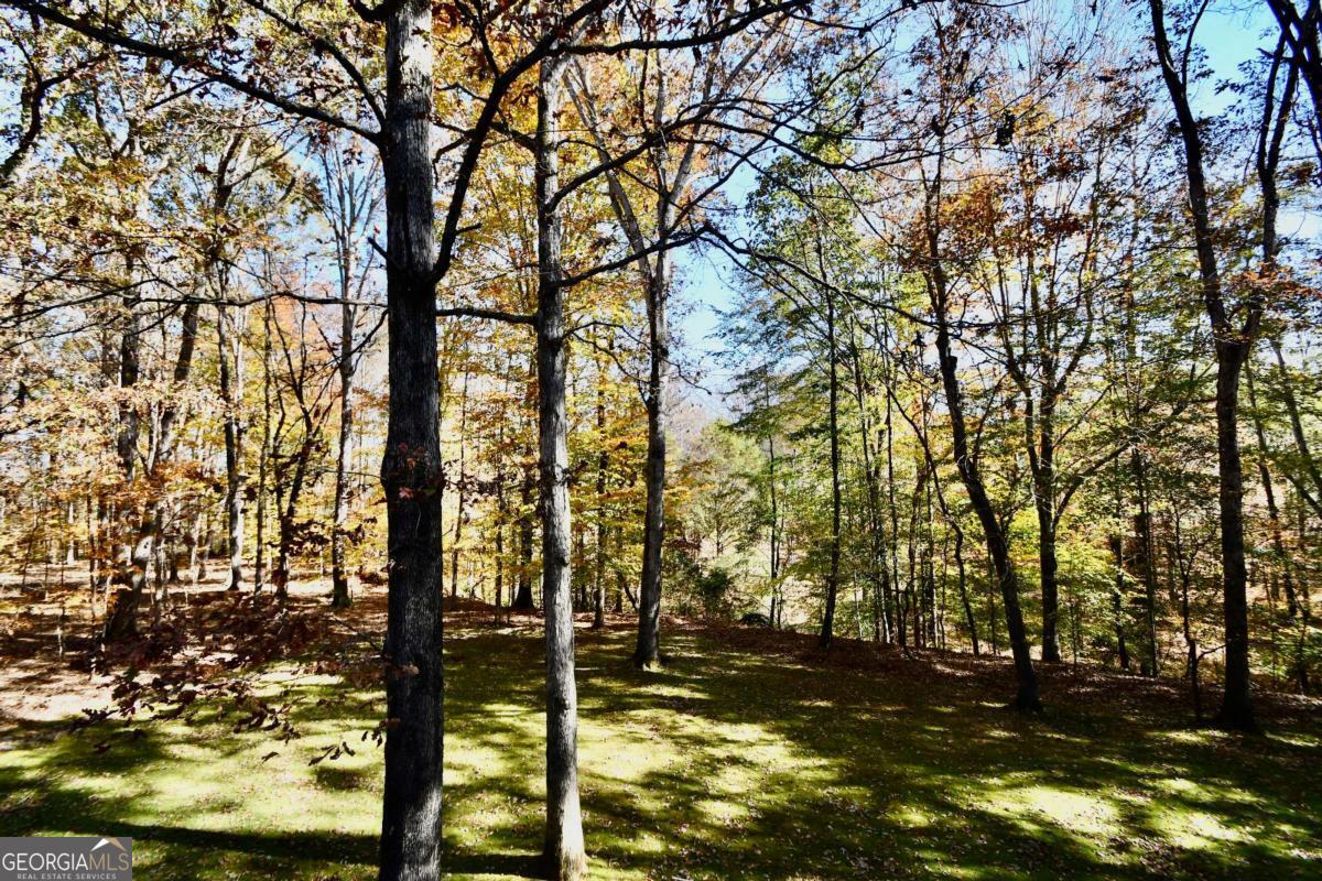 218 Thornhill Drive Athens GA 30607