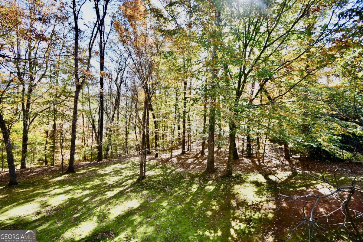 218 Thornhill Drive Athens GA 30607