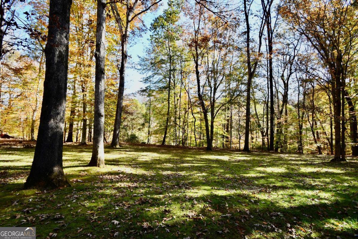 218 Thornhill Drive Athens GA 30607