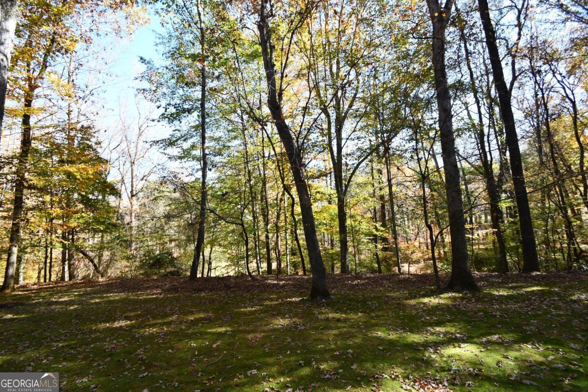 218 Thornhill Drive Athens GA 30607