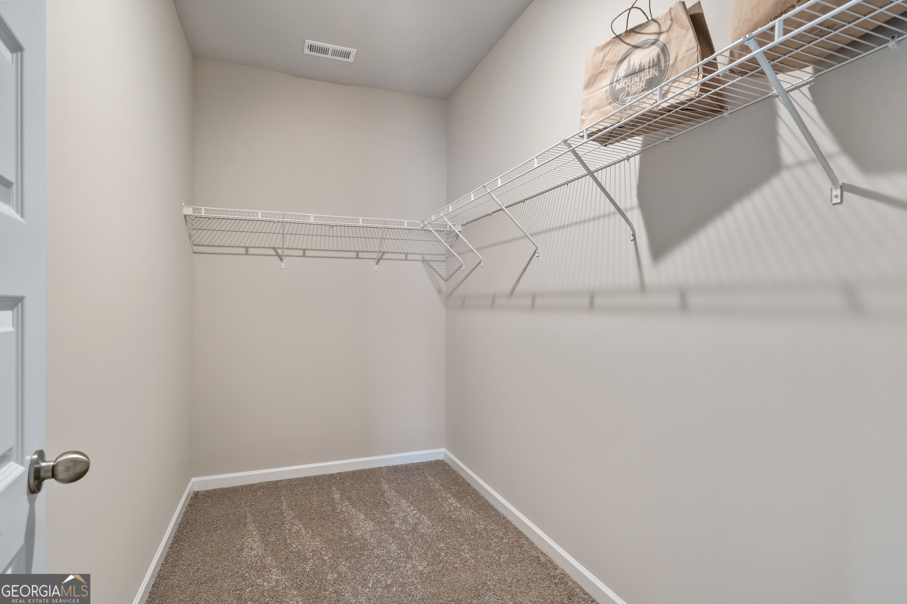 1396 Trellis Court Hampton GA 30228