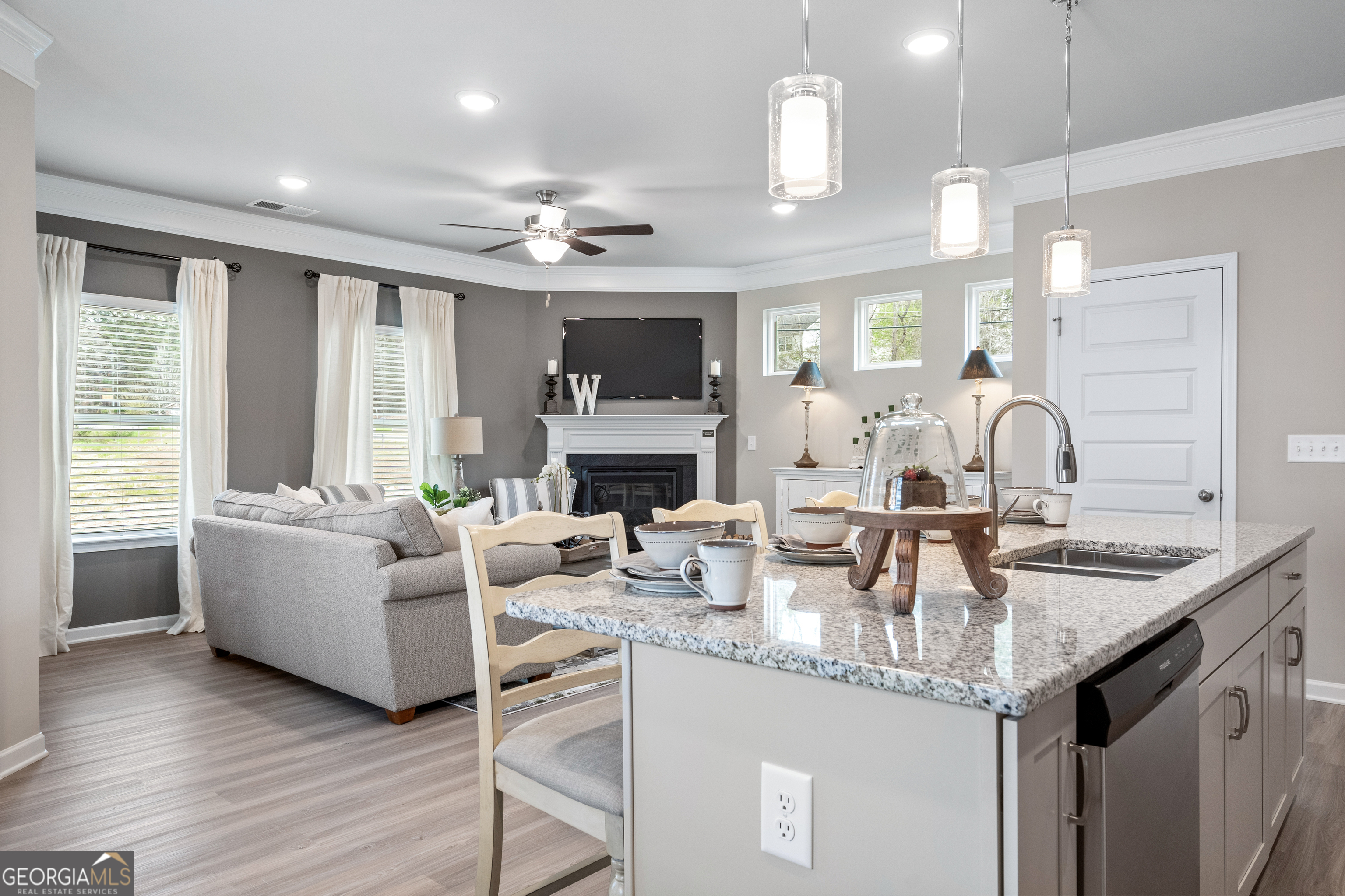 1396 Trellis Court Hampton GA 30228