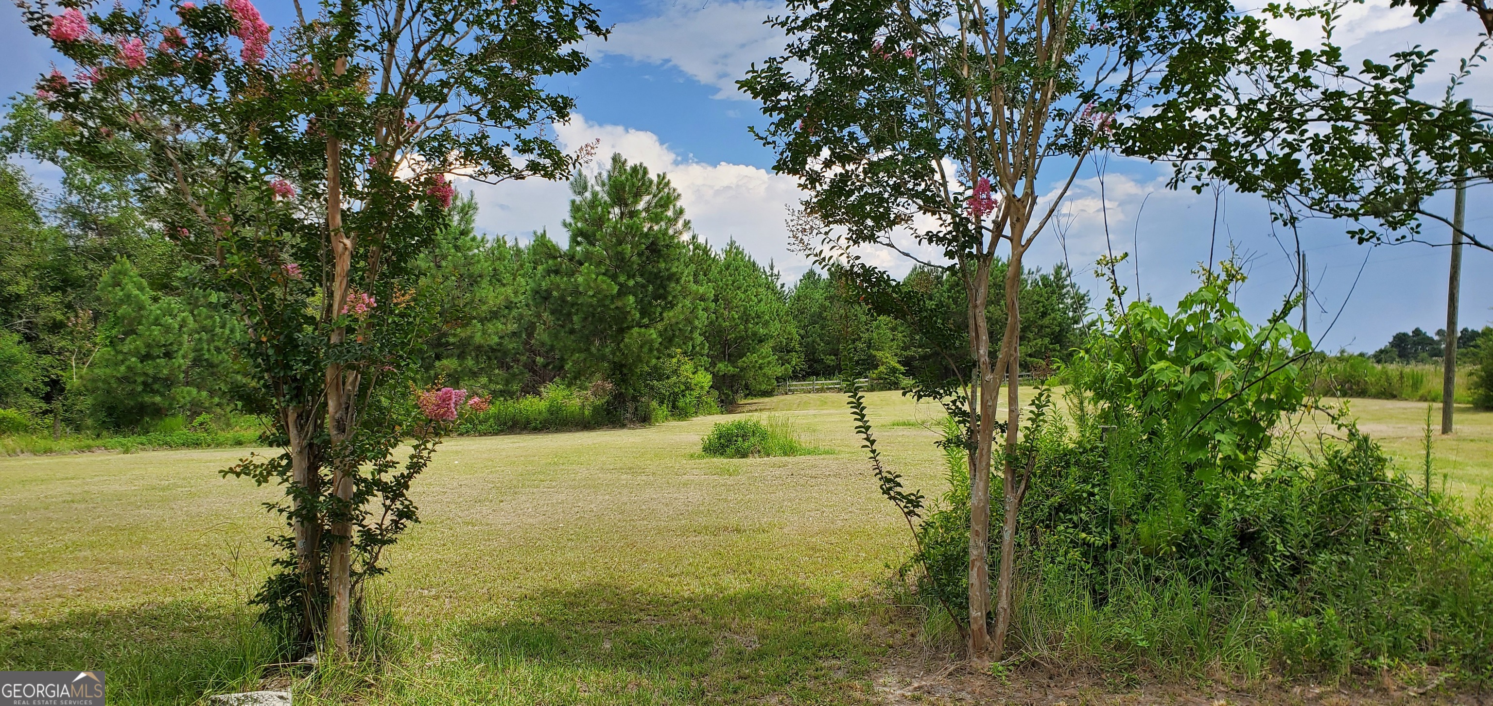 38 W Highway 46 Lyons GA 30436