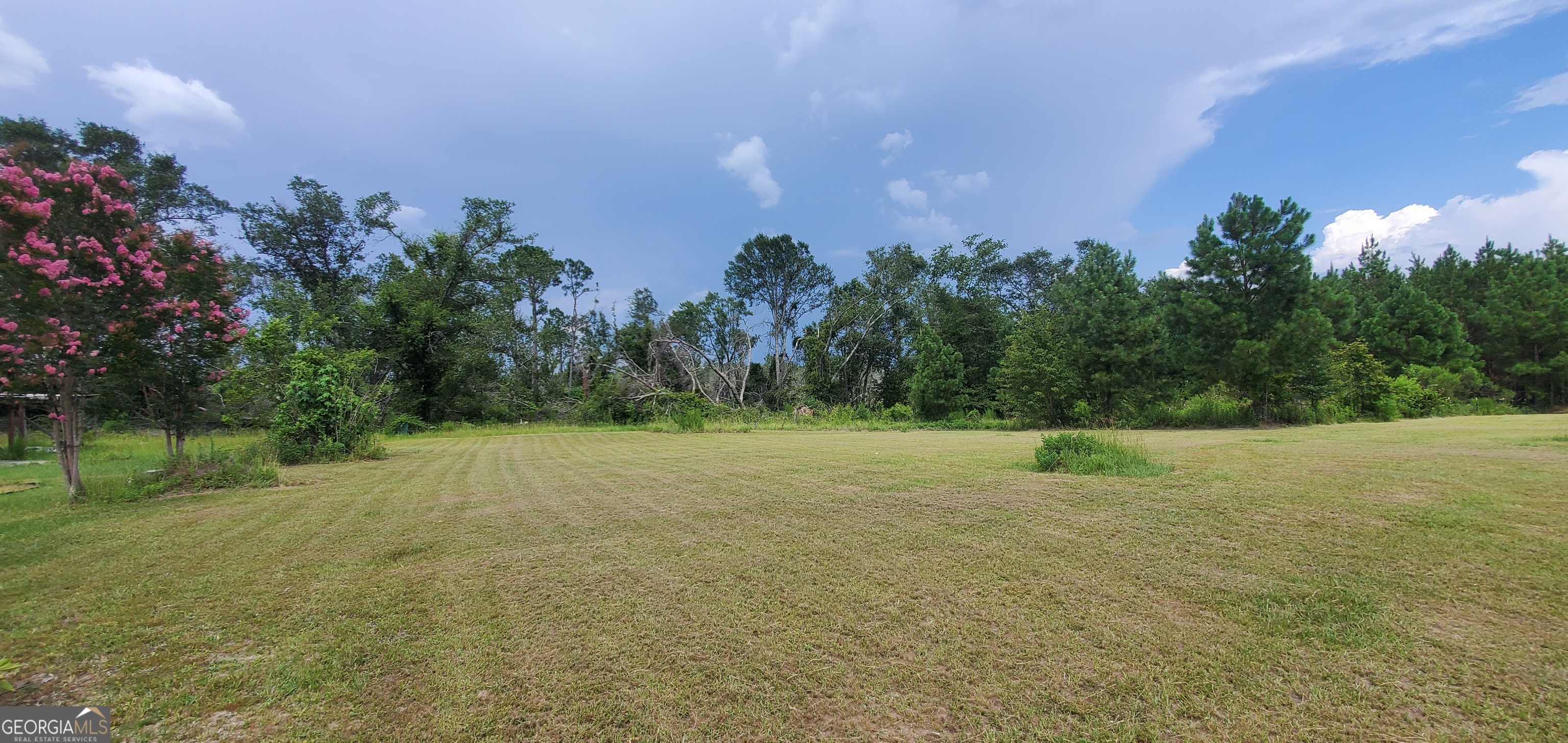 38 W Highway 46 Lyons GA 30436