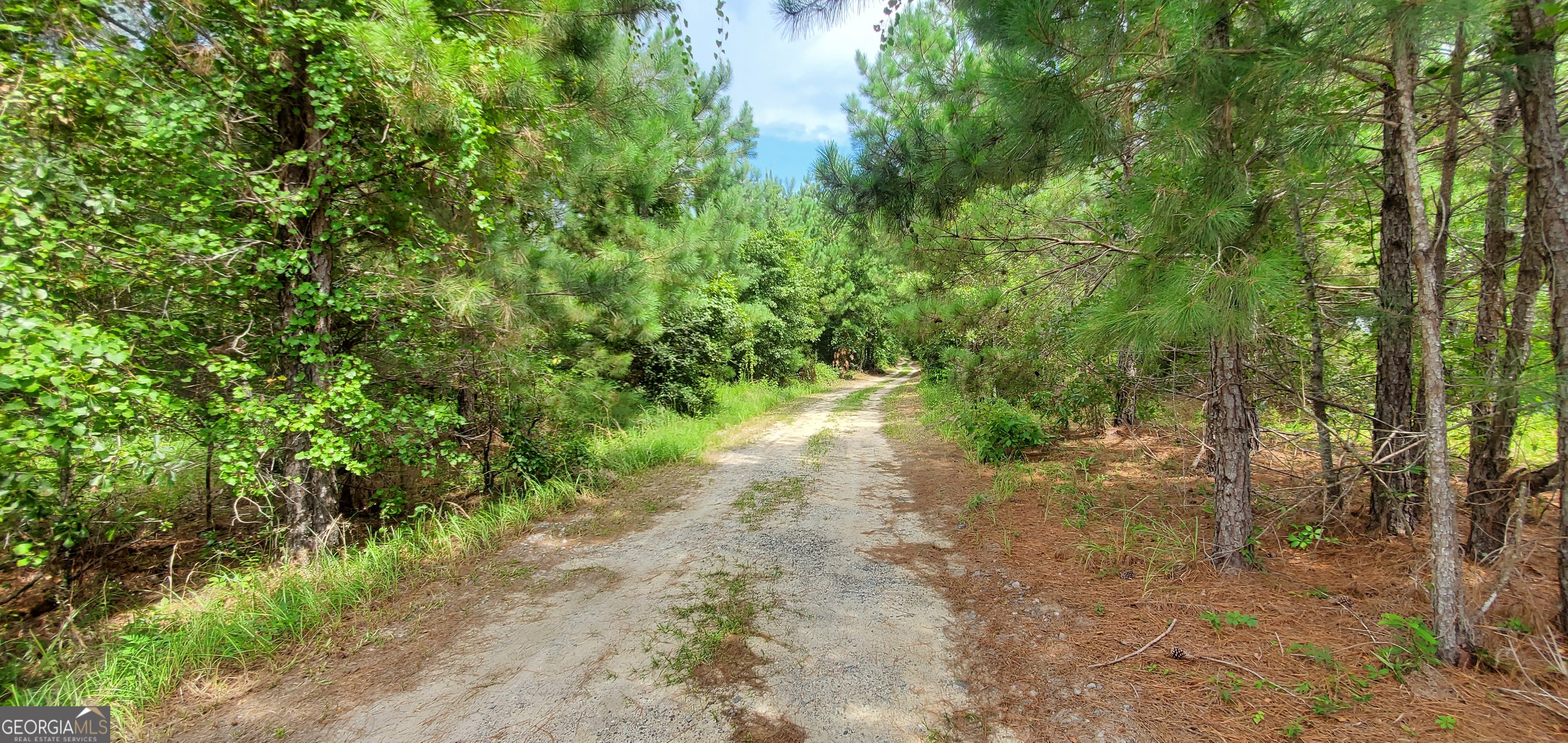38 W Highway 46 Lyons GA 30436