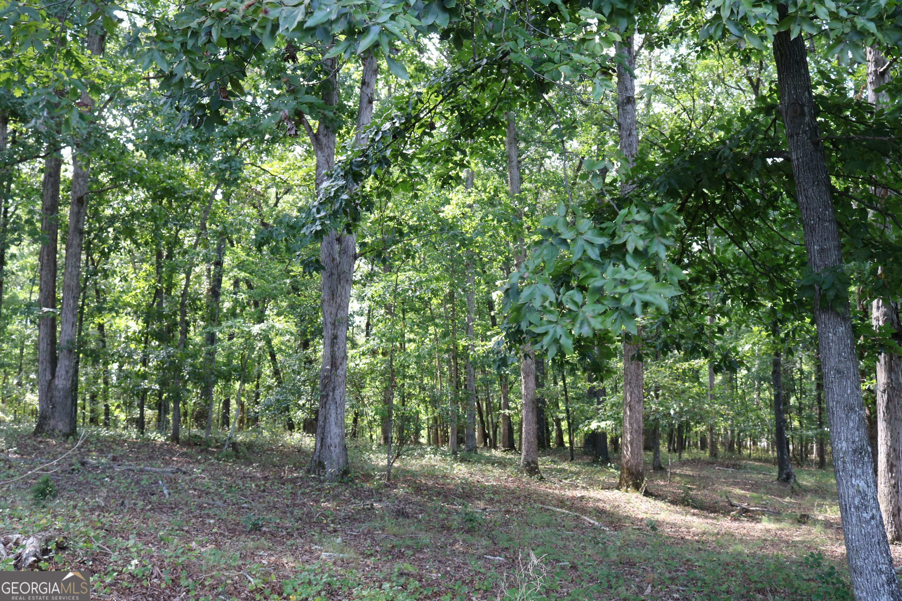 2096 Roy Woods Road Comer GA 30629