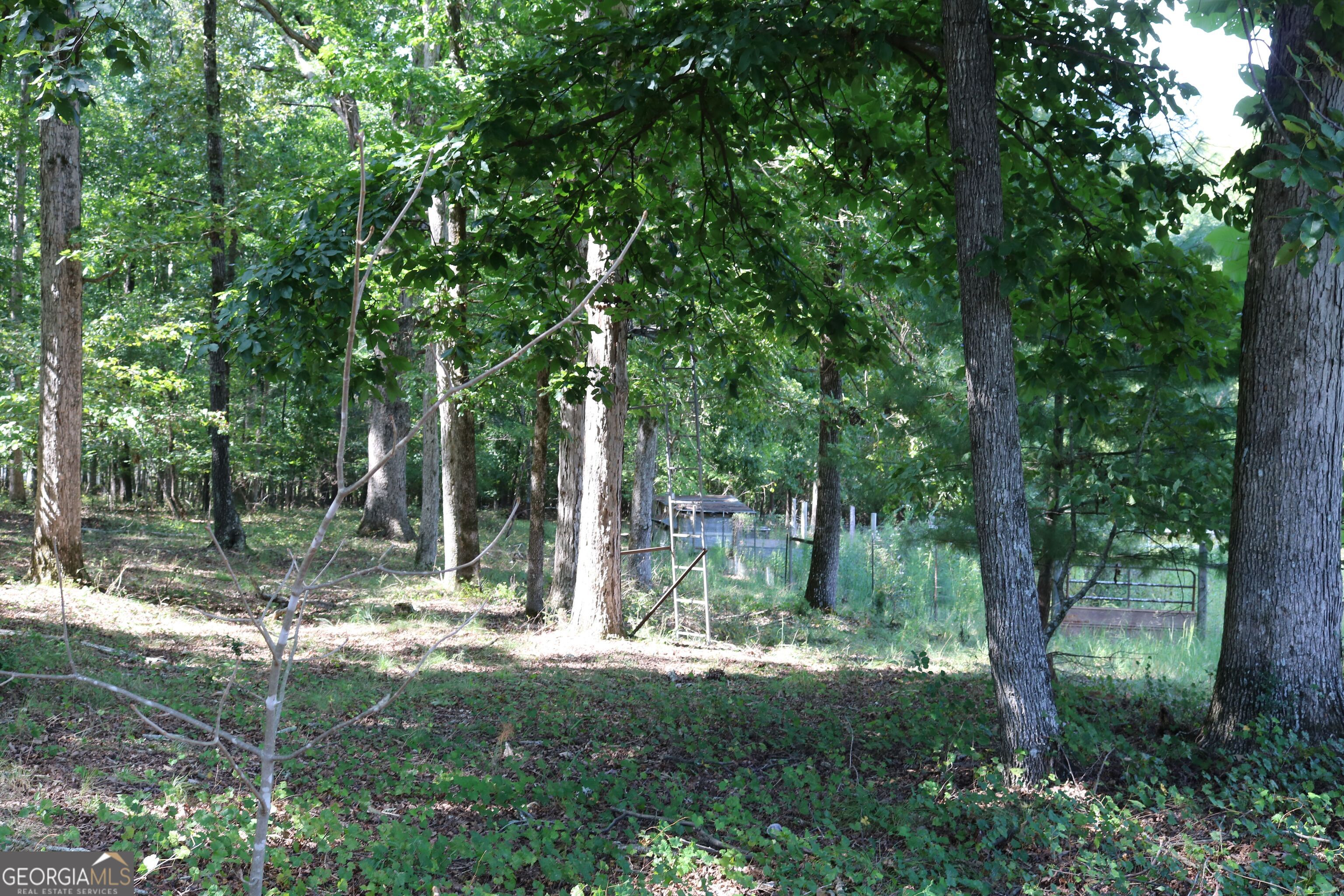 2096 Roy Woods Road Comer GA 30629